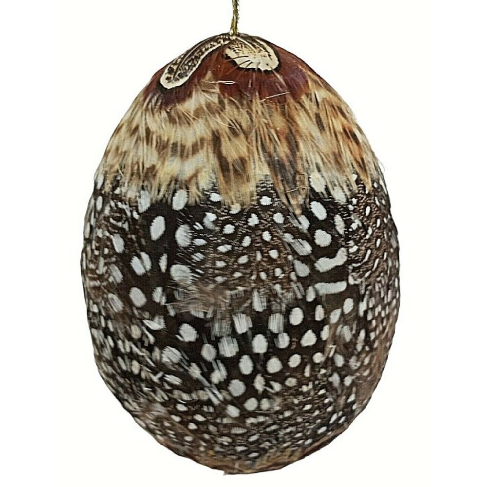 Christmas Tree Ornament Bird Feather Egg Shape Genuine Real 4"